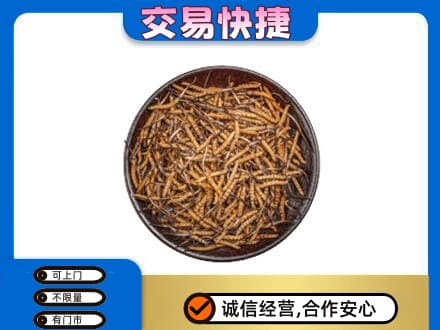 沈阳铁西区回收散虫草